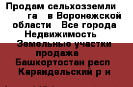 Продам сельхозземли ( 6 000 га ) в Воронежской области - Все города Недвижимость » Земельные участки продажа   . Башкортостан респ.,Караидельский р-н